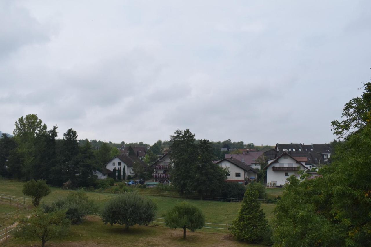 Sauers Schwarzwaldglueck Apartamento Appenweier Exterior foto